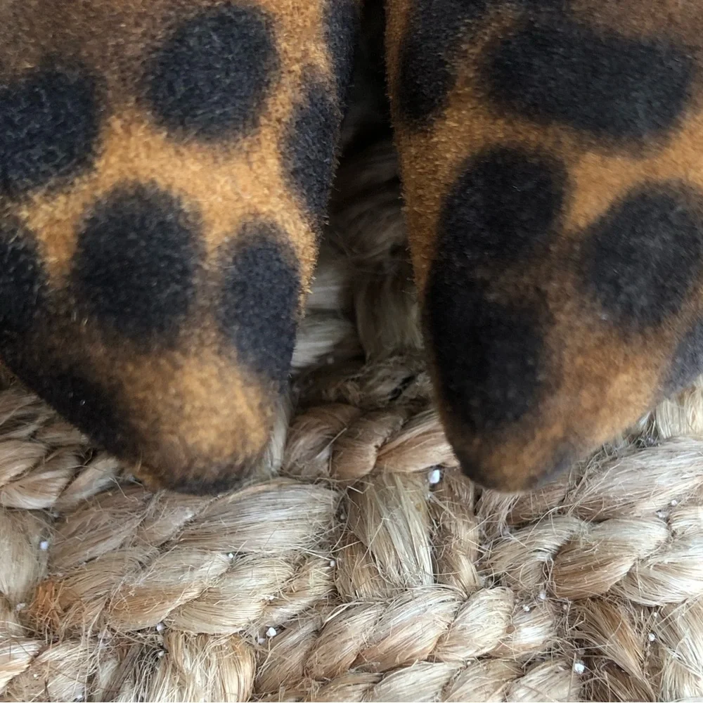 Saint Laurent Paris Anja Pump. Size 37.5 - Picture 8 of 14